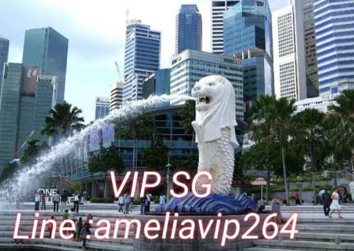 งาน​ VIP SG สิงคโปร์​+++ทั่วโลก งานสวยเงินแสนทักเลย​ line :ameliavip264 