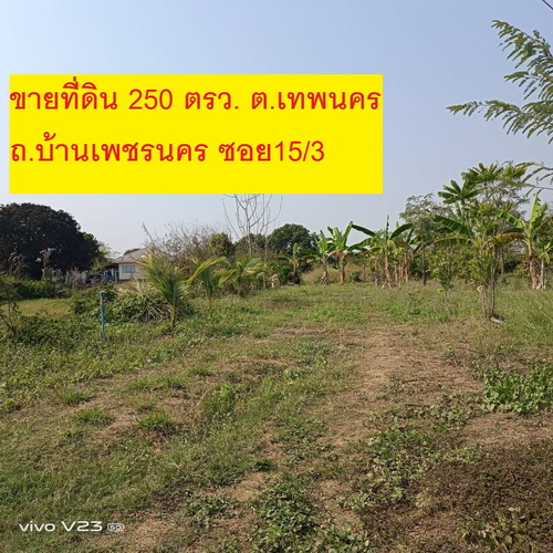 ขายที่ดินเปล่า 250 ตารางวา ต.เทพนคร  อ.เมือง จ.กำแพงเพชร