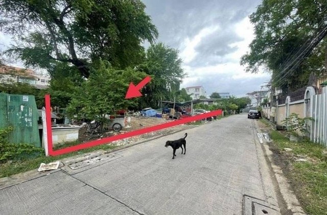 ขายที่ดินอ่อนนุช  สวย หน้ากว้าง ถมแล้ว 95 ตร.ว. เหมาะสร้างบ้านพักอาศัย โฮมออฟฟิศ