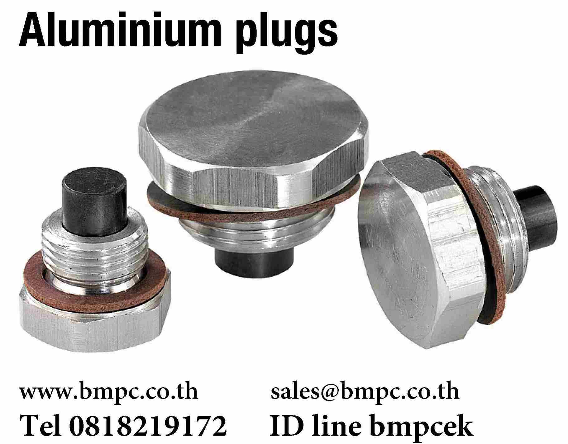 Aluminium plugs with magnet, ปลั๊ดอุดพร้อมเดือยแม่เหล้ก