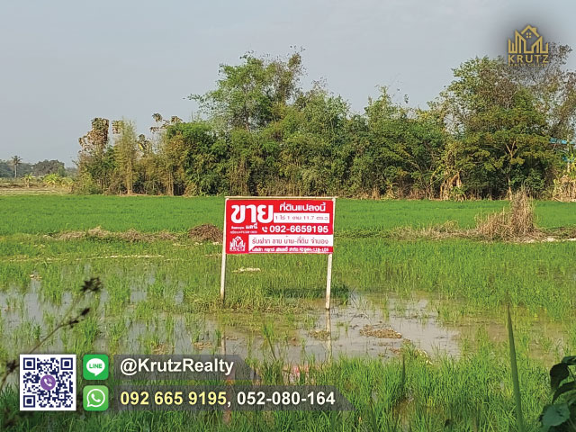 ขายที่ดินติดถนนเนื้อที่  1 ไร่ 1 งาน 11.7 ตร.ว. ต.ป่าลาน อ.ดอยสะเก็ด จ.เชียงใหม่