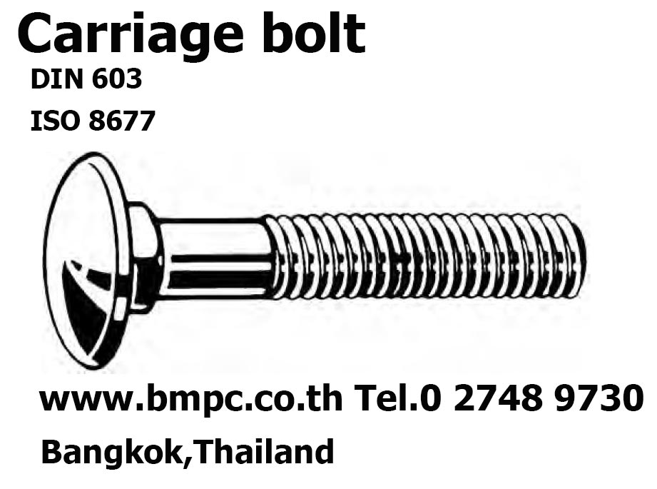 Bolt with flange, Shoulder screw, Set screw, screw plug, thin nut, lock nut, Castle nut, Locking disc spring, tab washer, e-ring, shim ring, bonded seal