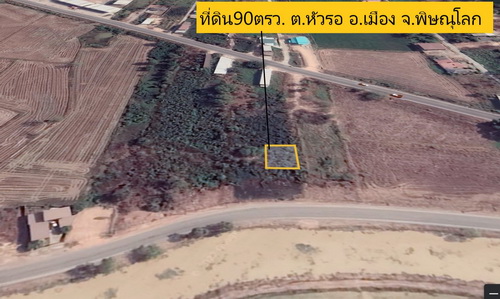ขายที่ดินเปล่าใน อ.เมืองพิษณุโลก 90 ตรว.วา ทำเลดี ราคาถูก 