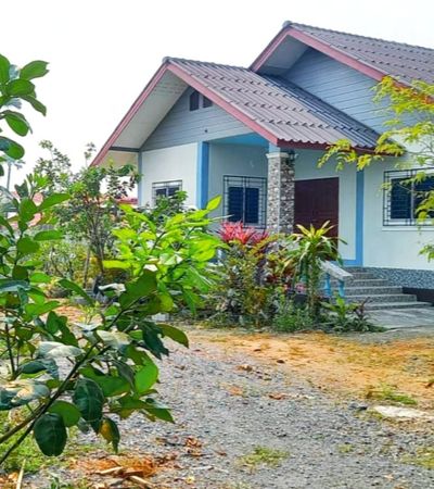 ขายบ้านสวนพร้อมที่ดินเกือบไร่ (ที่ดิน 395 ตร.ว) ราคาแสนดี ขายพิเศษสุด ต.สันกำแพง - แม่ปูคา