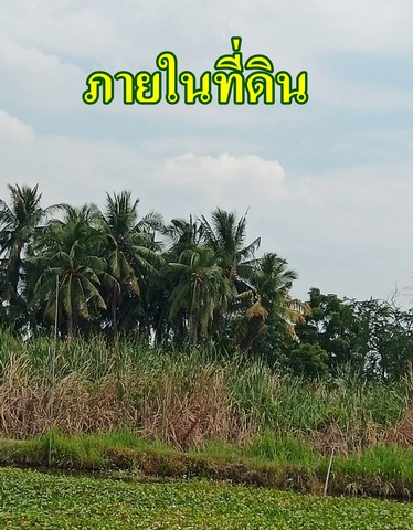 ขายที่ดินติดคลอง 4 ไร่ 2 งาน 76 ตรว.  ประชาอุทิศ 76 เขตทุ่งครุ กรุงเทพฯ
