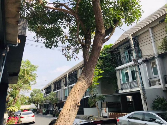[H292]ทาวน์โฮม อารียา เดลี่ เกษตร-นวมินทร์ ถนนลาดปลาเค้า ทำเลดีเดินทางสะดวก สิ่งแวดล้อมดี