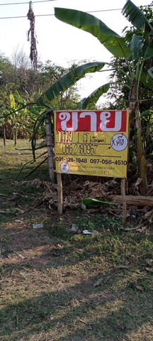 ขายด่วน ที่ดินสวย 1 ไร่ ติดถนนสายหลัก น้ำไฟ สะดวก  ZK080