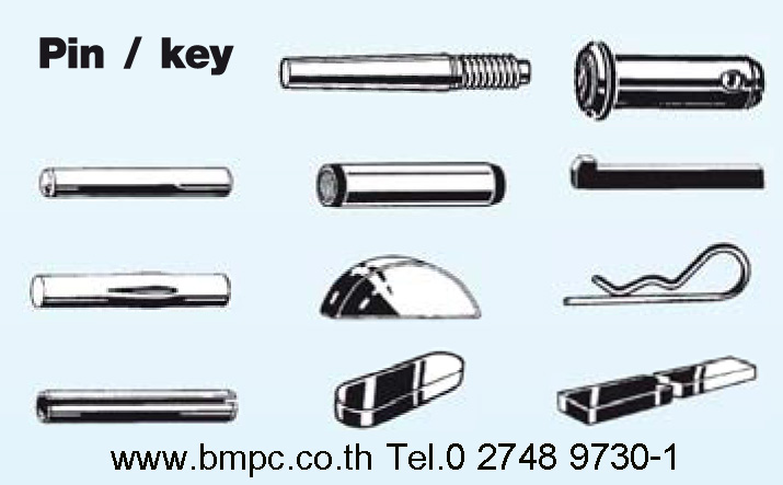 Dowel pin,Taper pin, Parallel pin, Grooved pin, Spring pin, Split pin, Cotter pin, Linch pin, Bright key, parllel key, Round head rivet