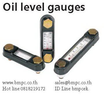 Steel oil level gauge, แท่งมองระดับน้ำมัน