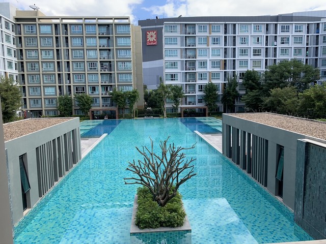 เรียนเชิญทุกท่านมาลงทุนกับ D Condo Sing Chiang Mai ทำเลทองติดเซ็นทรัลเฟสติวัลเชียงใหม่  เฟอร์นิเจอร์ครบครัน ขาย 3,900,000 บาท