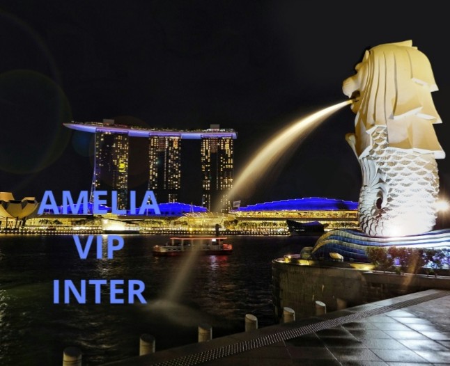 VIP  สิงคโปร์++++