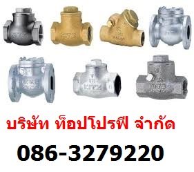 เช็ควาล์วกันย้อนกลับ เช็ควาล์ว สวิงเช็ควาล์ว บอลเช็ควาล์ว  แพนเช็ควาล์ว วูซังวาล์ว 0863279220