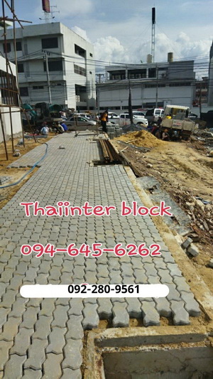 Thaiinter Block  โรงงานผลิตและจำหน่าย บล็อกตัวหนอน บล็อกทางเท้า บล็อกปูสนามหญ้า  094-645-6262