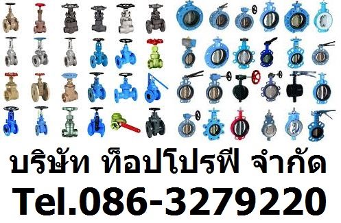 สวิงเช็ควาล์ว เช็ควาล์วกันย้อนกลับ เช็ควาล์ว แพนเช็ควาล์ว บอลเช็ควาล์ว วูซังวาล์ว Check Valve 0863279220