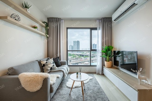 ลดพิเศษ!!! ขายพร้อมผู้เช่าคอนโด ไลฟ์ สุขุมวิท 48 (Life Sukhumvit 48) ใกล้รถไฟฟ้า BTS พระโขนง ตกแต่งสวย เครื่องใช้ไฟฟ้าครบ พร้อมอยู่