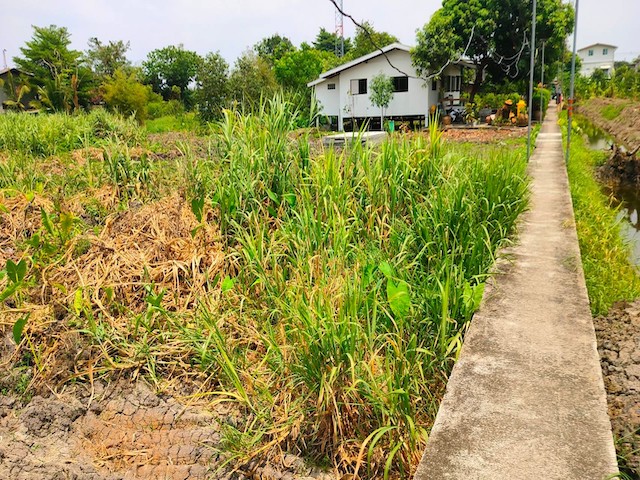 ขาย ที่ดินเปล่า 50 ตร.ว. เหมาะสำหรับสร้างที่อยู่อาศัย แขวงคลองจั่น เขตบางกะปิ กรุงเทพฯ